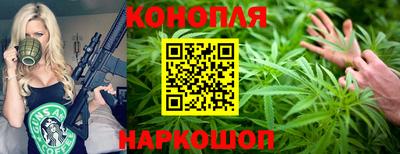 сатива Вышний Волочёк
