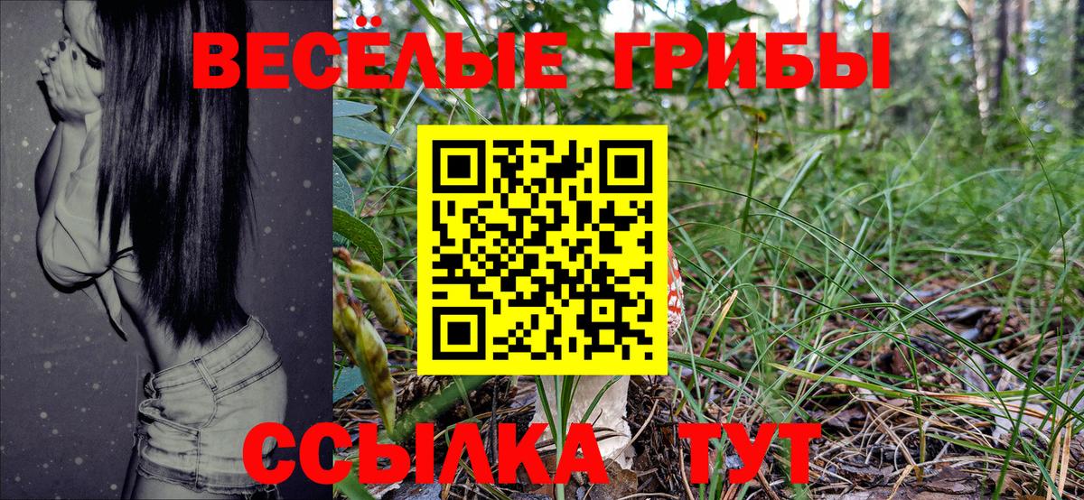 Галлюциногенные грибы Psilocybine cubensis  Вход с VPN  Асбест 